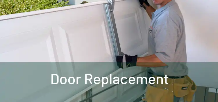  Door Replacement 