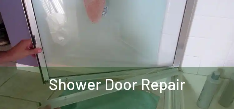  Shower Door Repair 